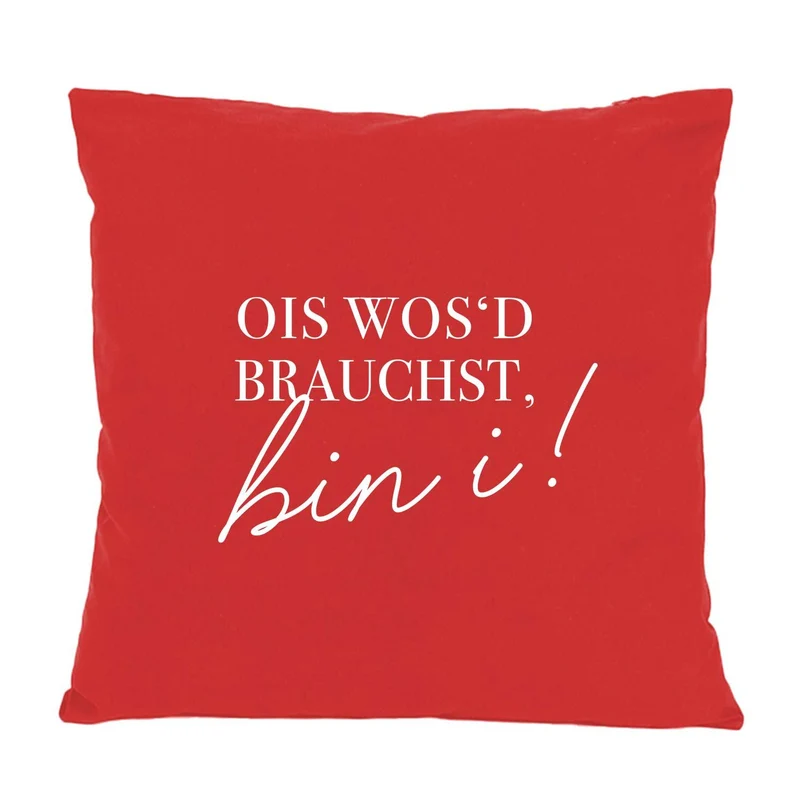 Kissen "Ois wos'd brauchst..."